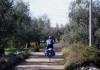 Sugli itinerari delle vie percorribili in bicicletta in Italia