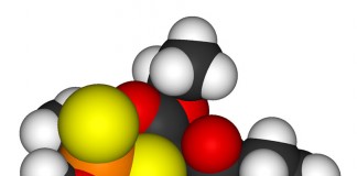 Le nanotecnologie quintuplicano la capacità delle batterie al Litio