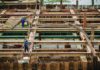 Investimenti cinesi per una nuova fabbrica di veicoli elettrici in Croazia
